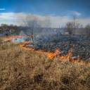 На Тернопільщині продовжують горіти поля та ліси