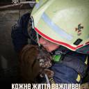 Кожне життя важливе: на Тернопільщині рятувальники дістали кота з криниці