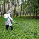 У тернопільських парках знищуватимуть кліщів