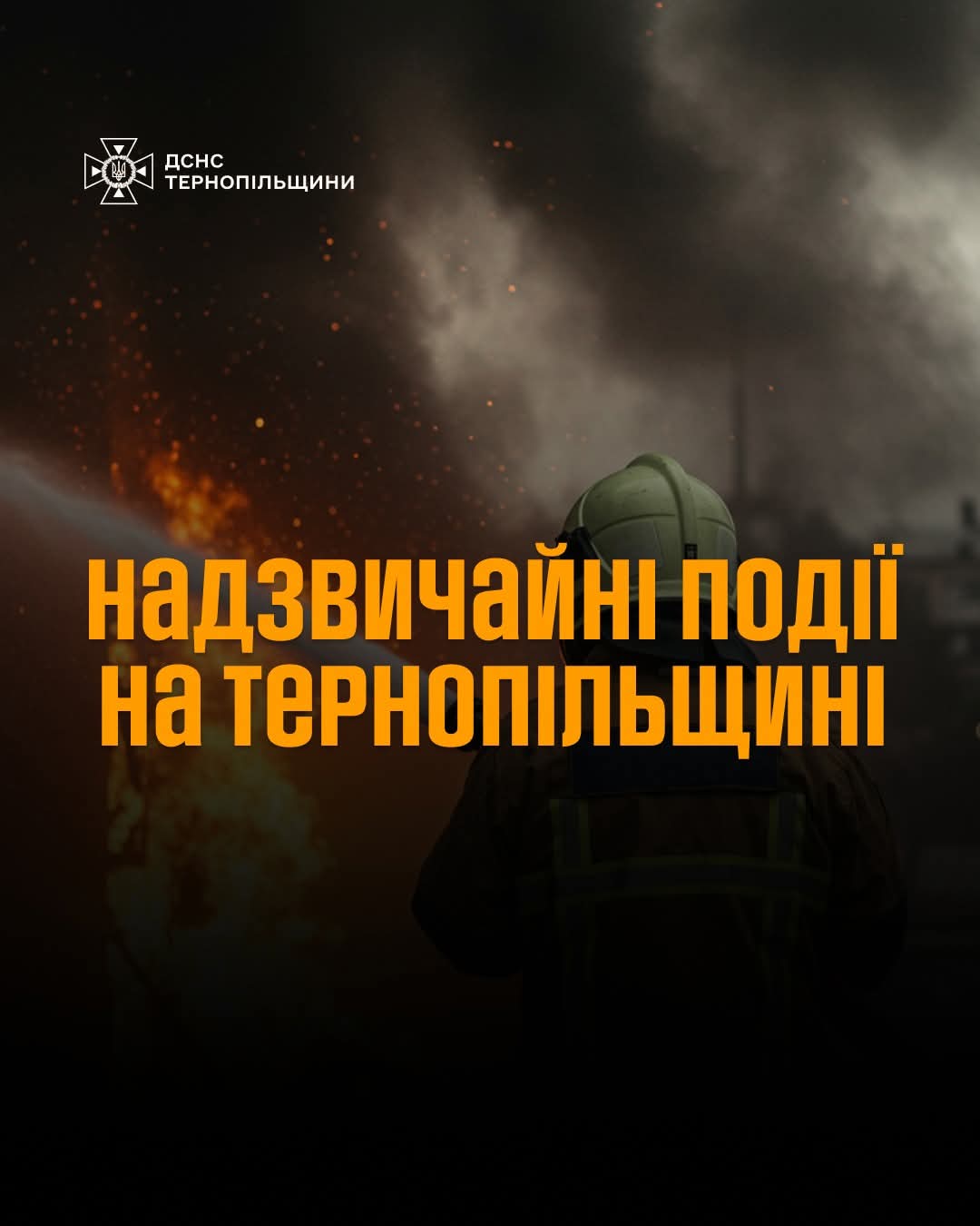 FB IMG 1747808207300