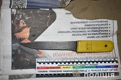 1DSC 0041