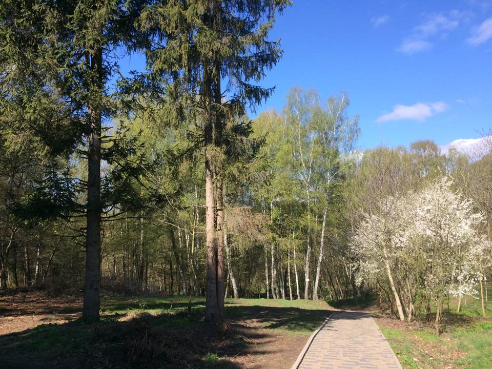 park zagrebellya 15 03 2023r 