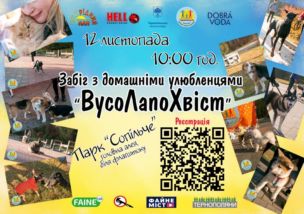 vusolapohvist ternopil08112022