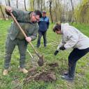У парку «Сопільче» в Тернополі висадили 30 молодих дубів