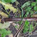 Замах із ножем через ревнощі: справу жителя Тернопільщини передали до суду