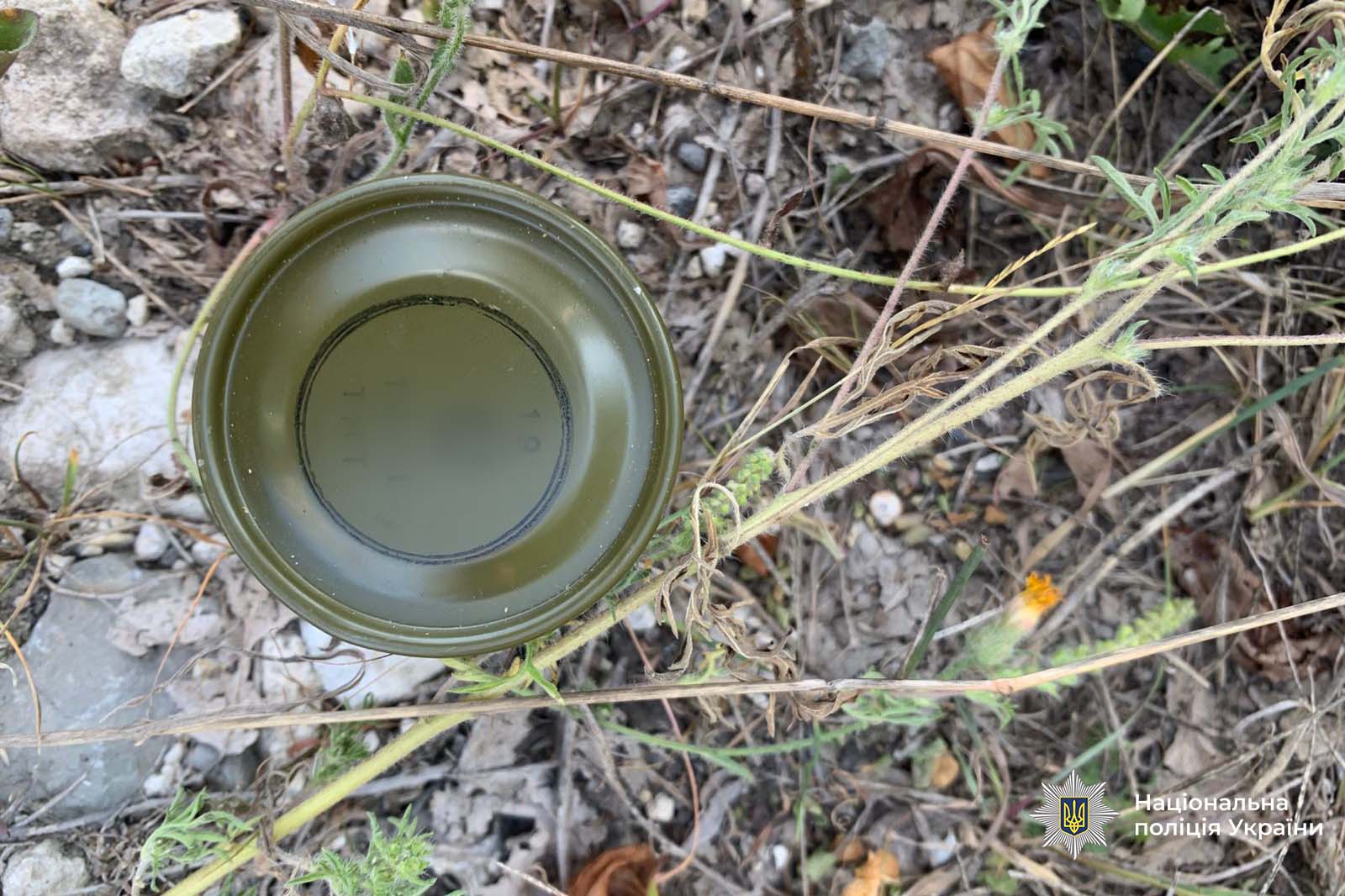 68be85e5c72a8779363811