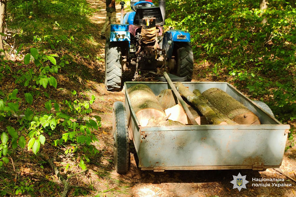 68be8f527b824316590006