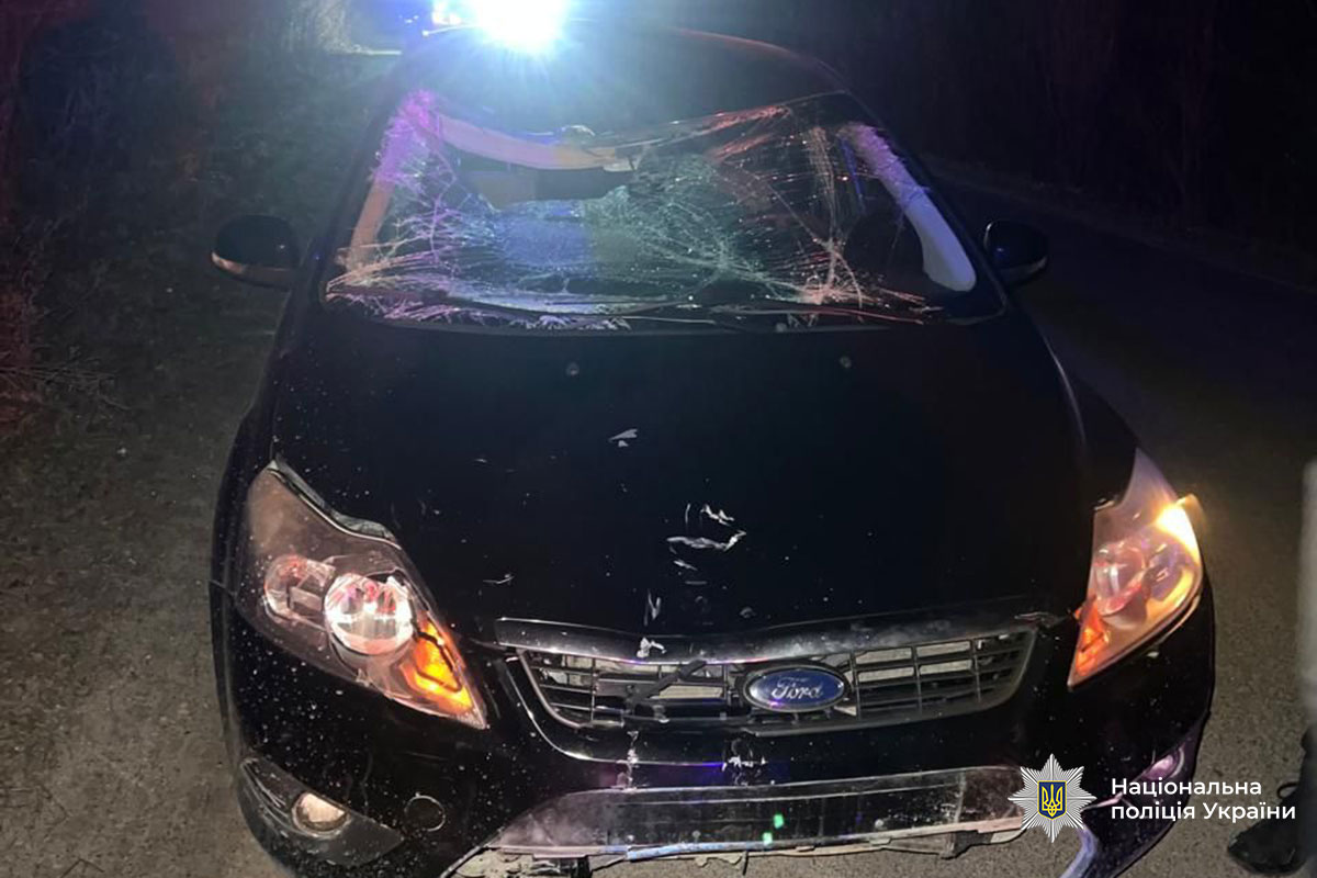 68bff1b1926c5581952481