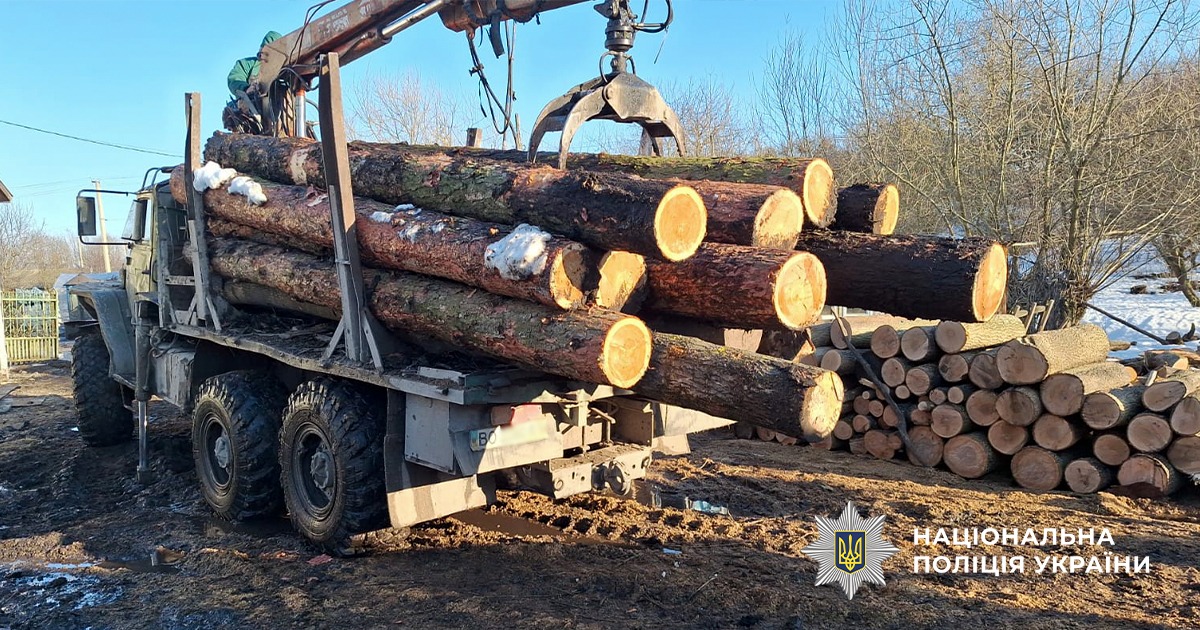 69b2753906c6a920109133