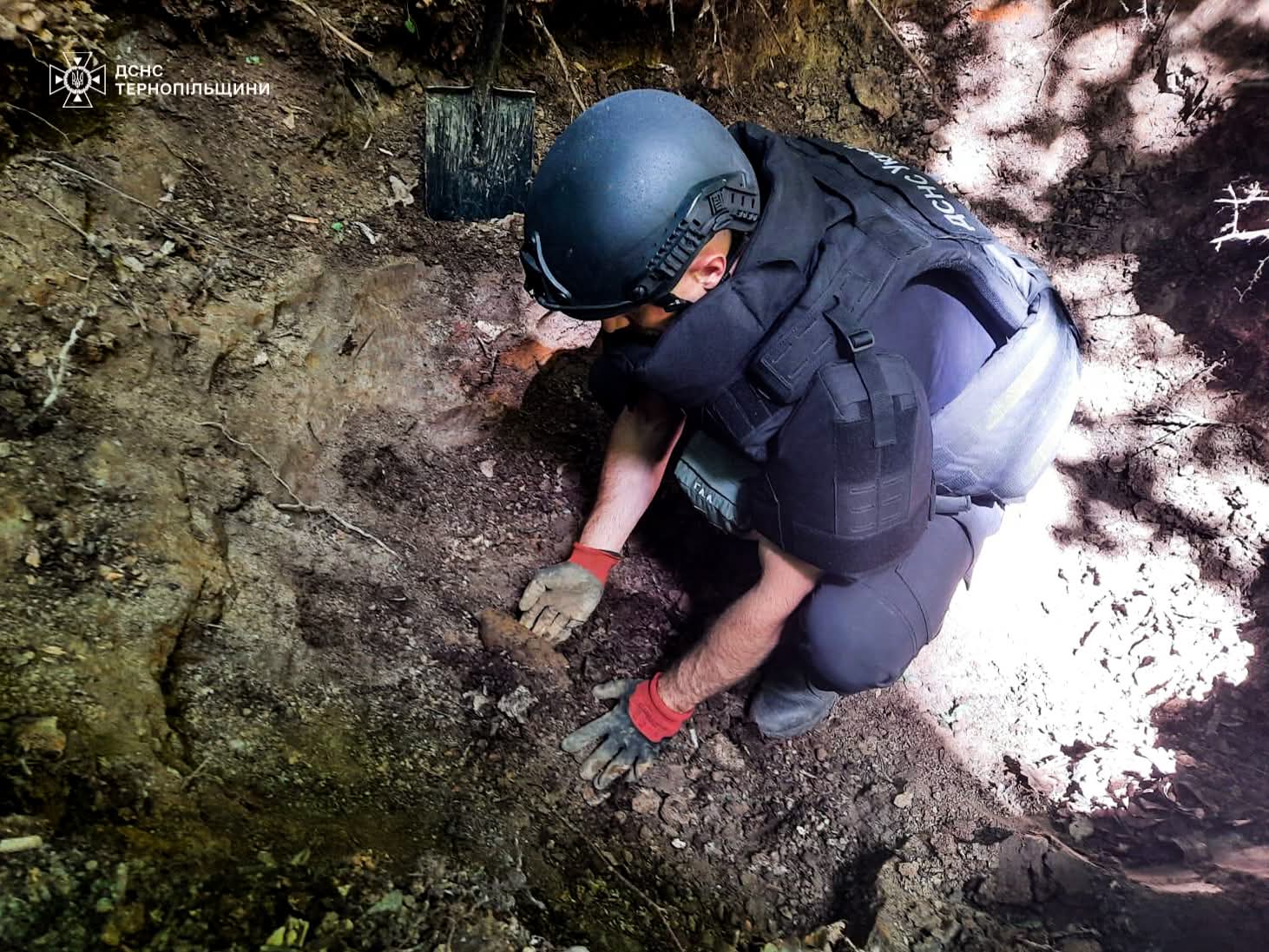 FB IMG 1750059473379