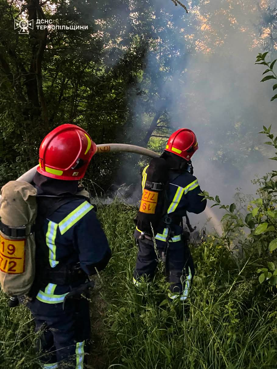 FB IMG 1750235151599