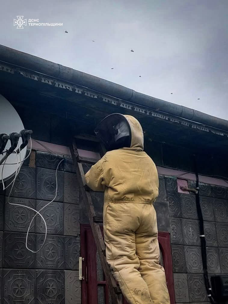 FB IMG 1750235160137