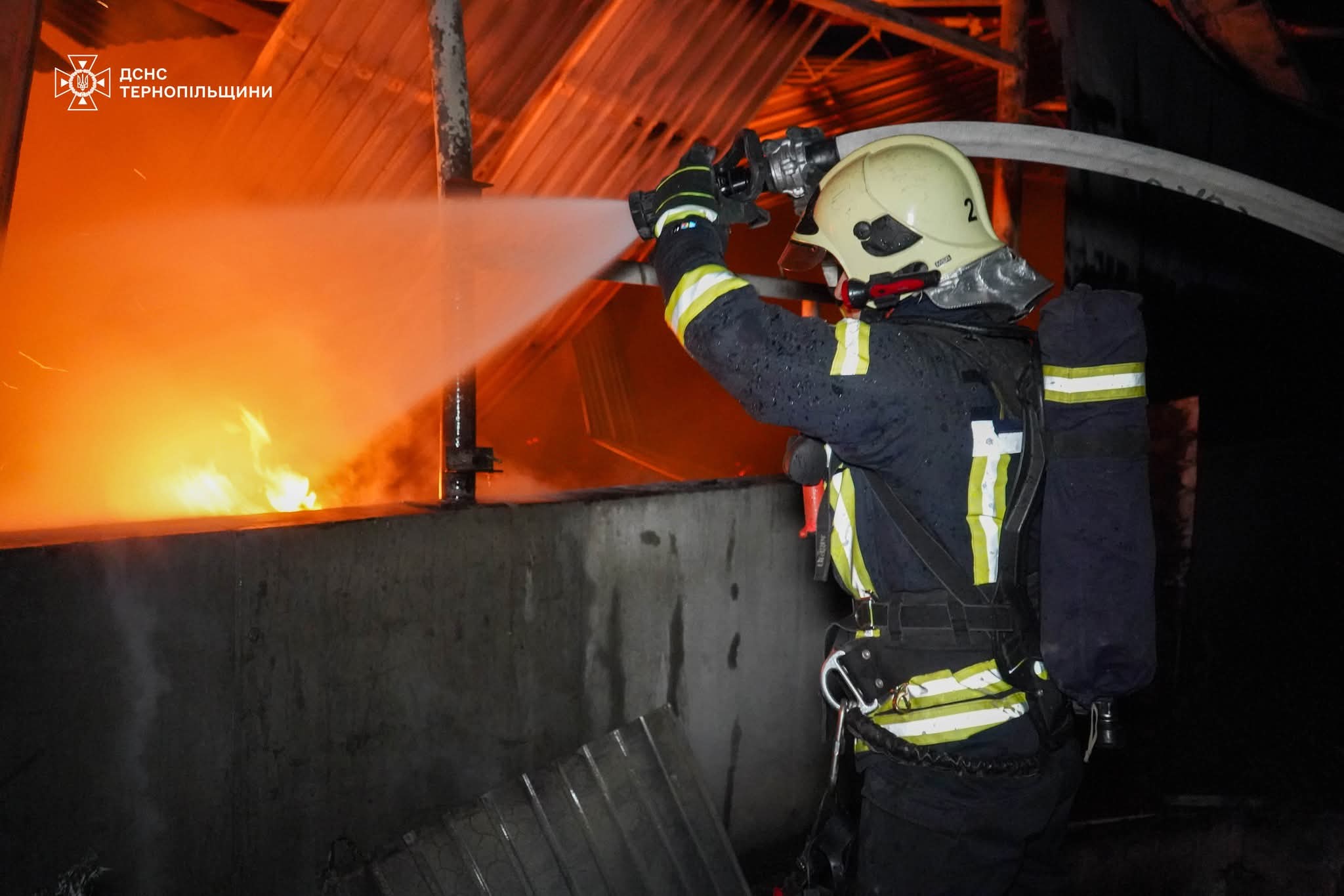 FB IMG 1750664794895