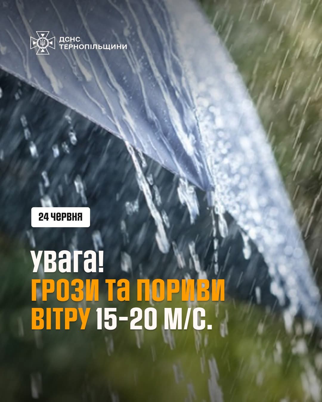 FB IMG 1750676709885