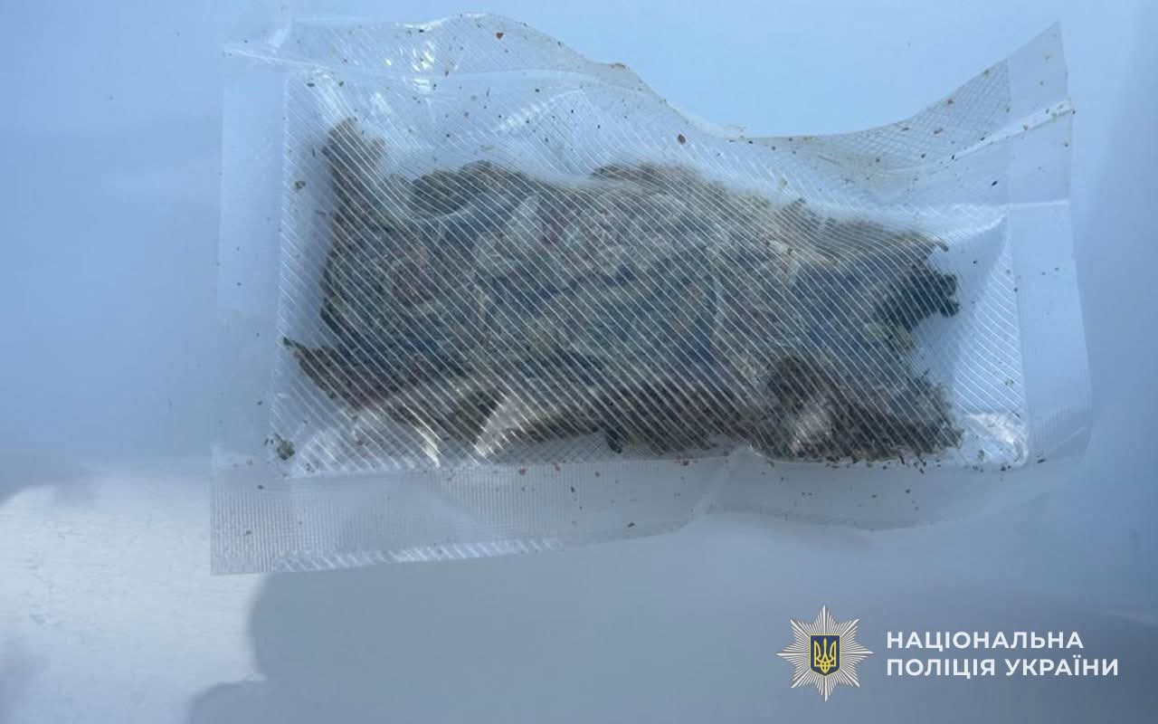 FB IMG 1750747738238