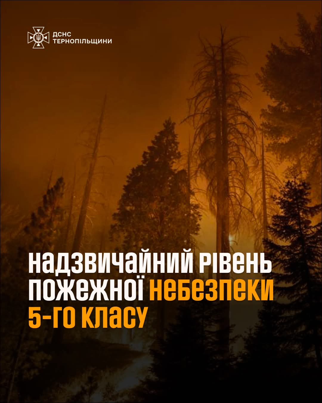 FB IMG 1751783342092