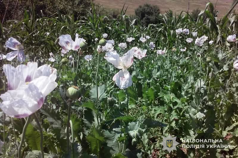 FB IMG 1752045473161