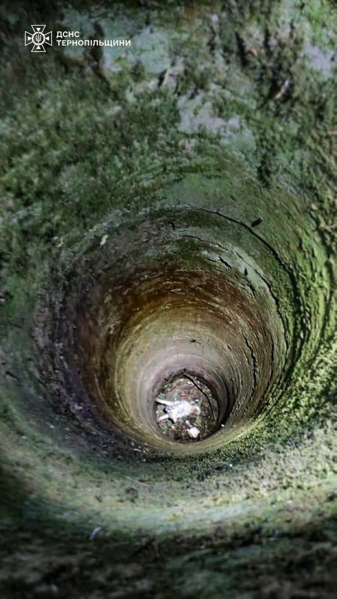 FB IMG 1752046404398