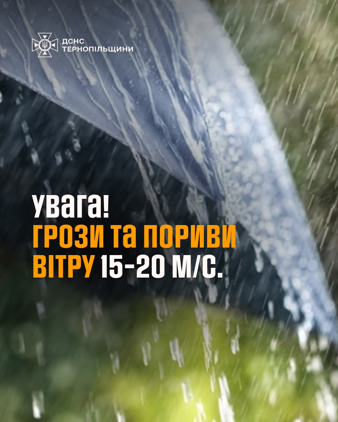 FB IMG 1752836237863