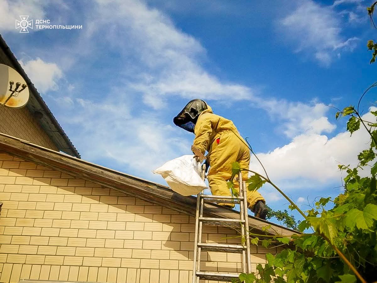 FB IMG 1753178795054