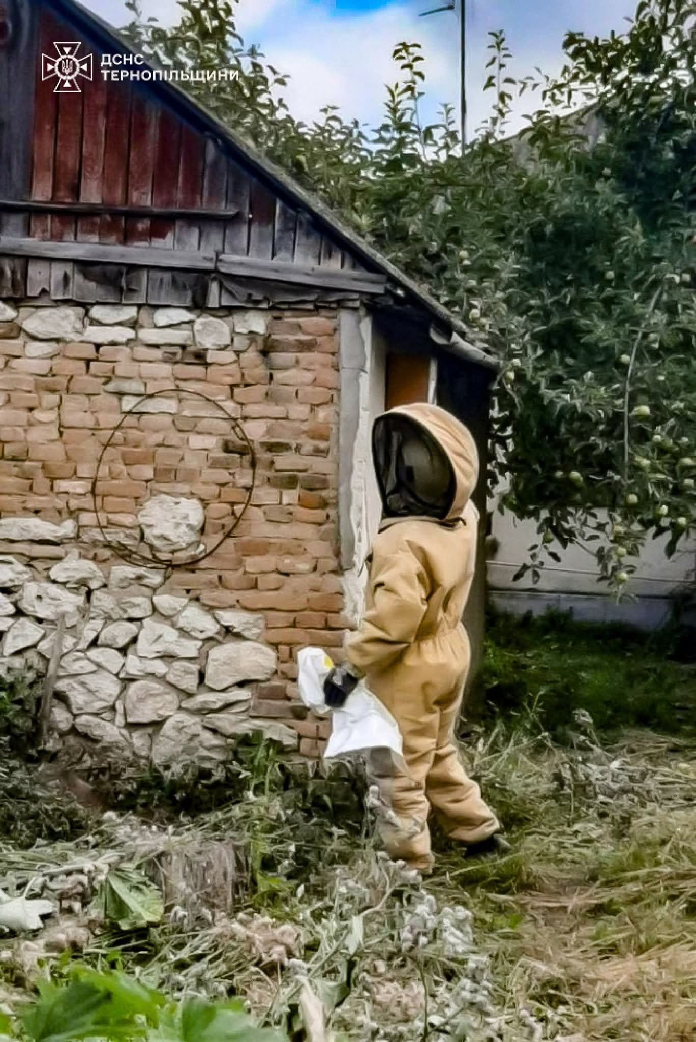 FB IMG 1754044615710