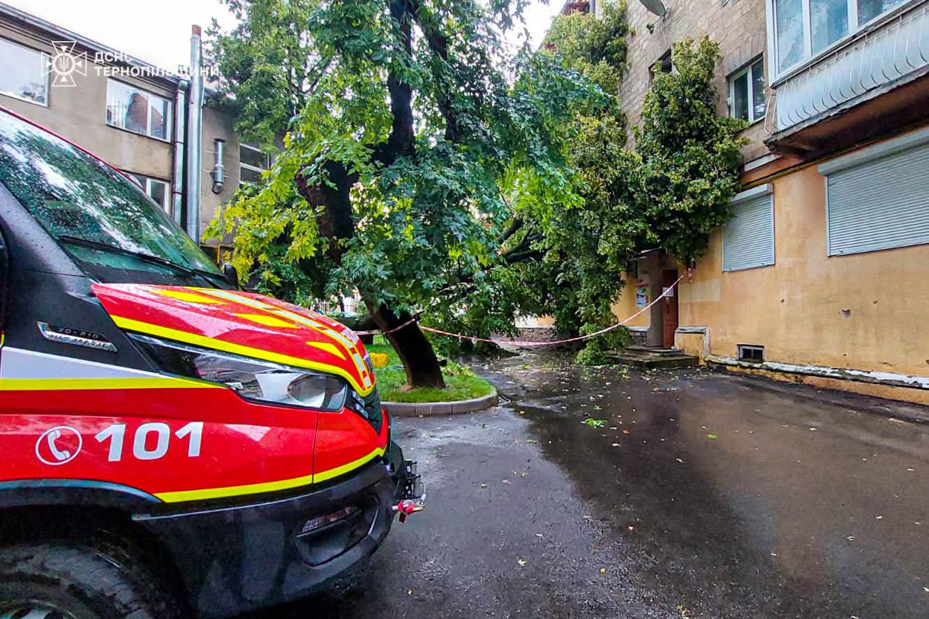 FB IMG 1754294054721