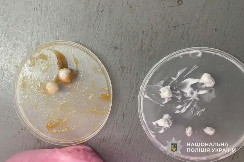 FB IMG 1754558583251