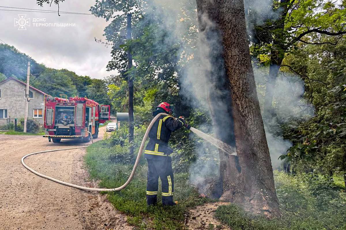 FB IMG 1754563417496