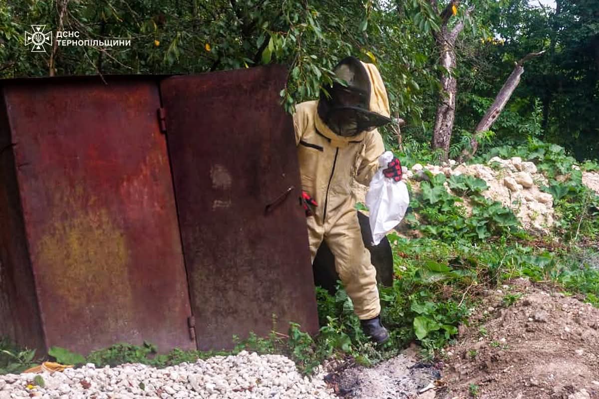 FB IMG 1754563420713