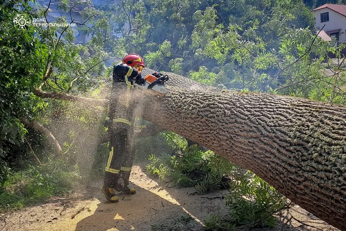 FB IMG 1754640165501