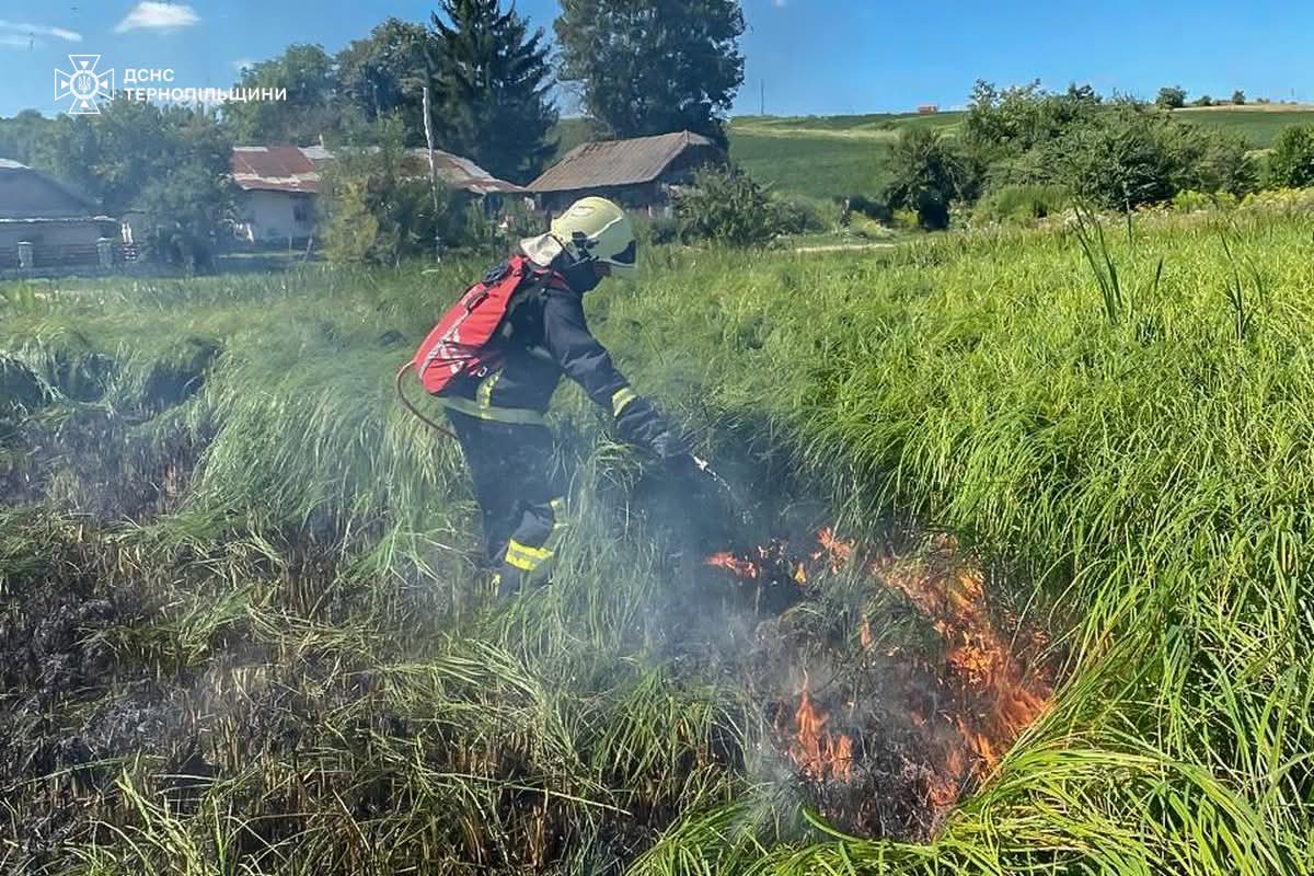 FB IMG 1755067567962