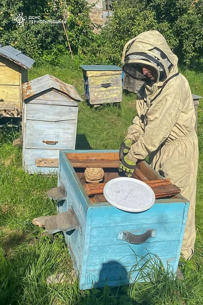 FB IMG 1755067576782