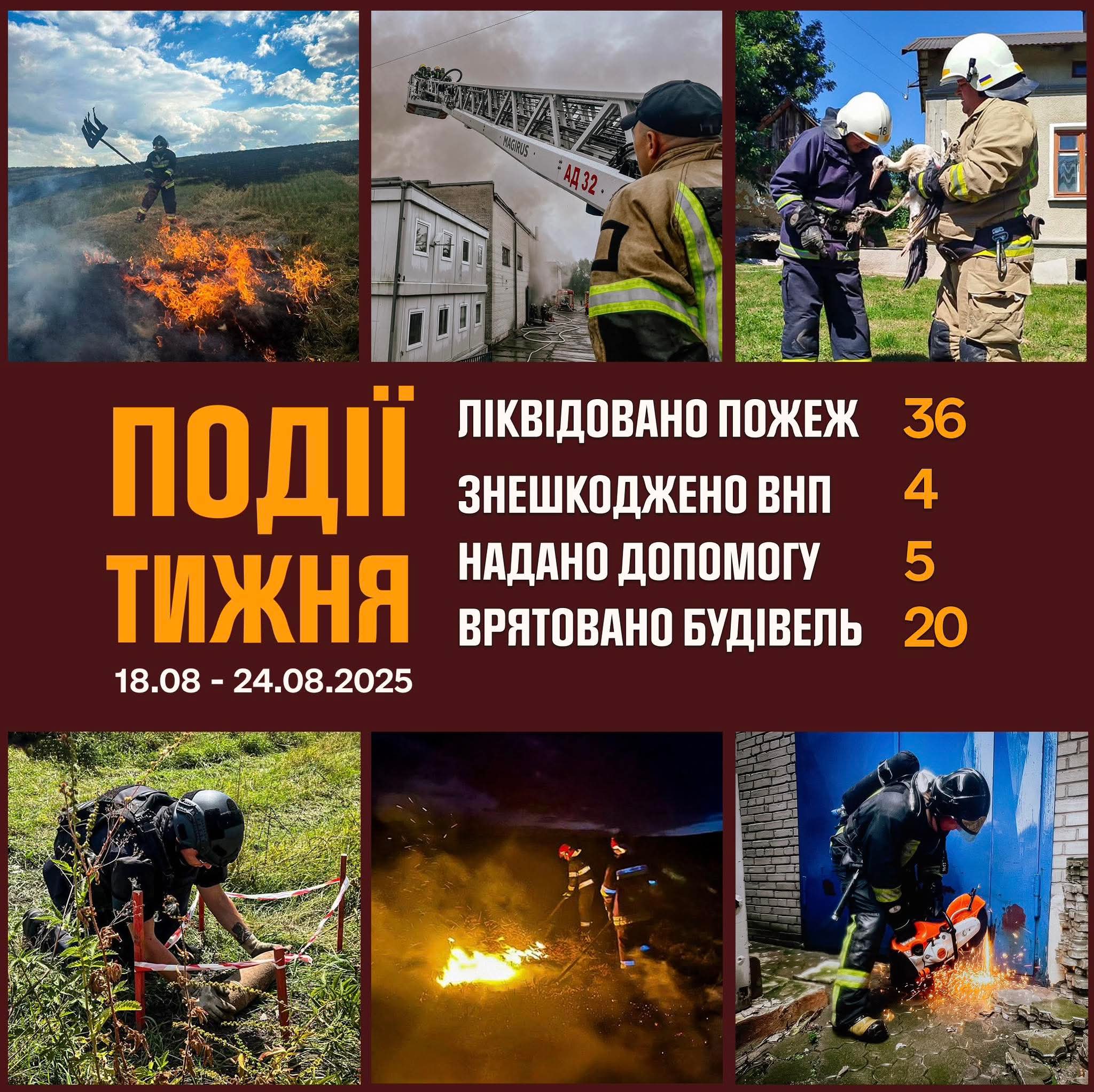 FB IMG 1756104669812