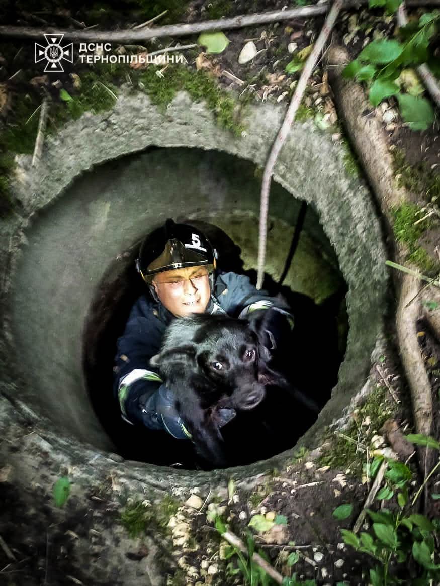 FB IMG 1756206449884