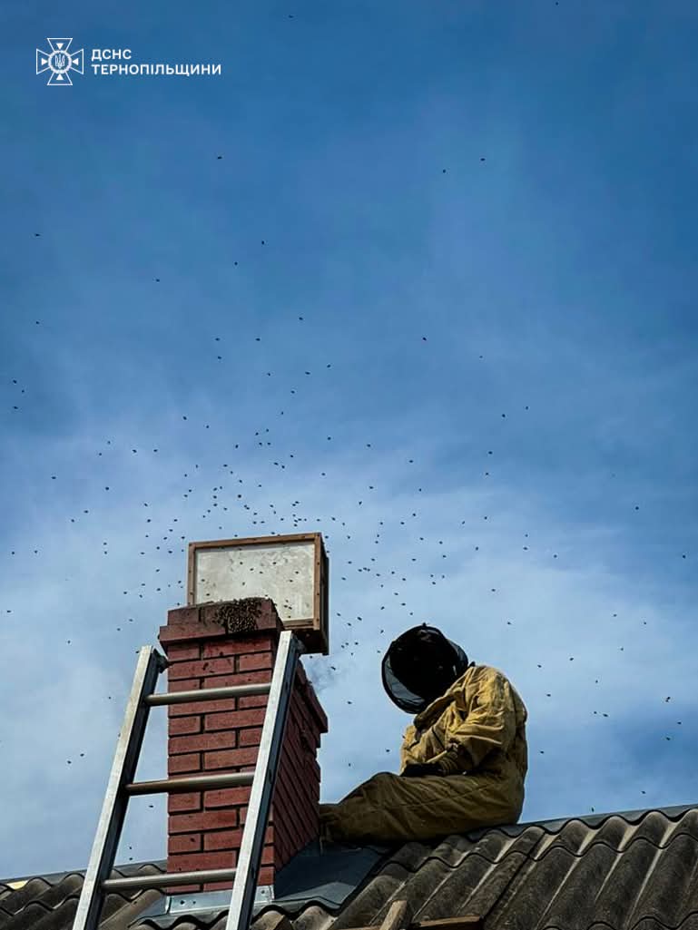 FB IMG 1756285261710