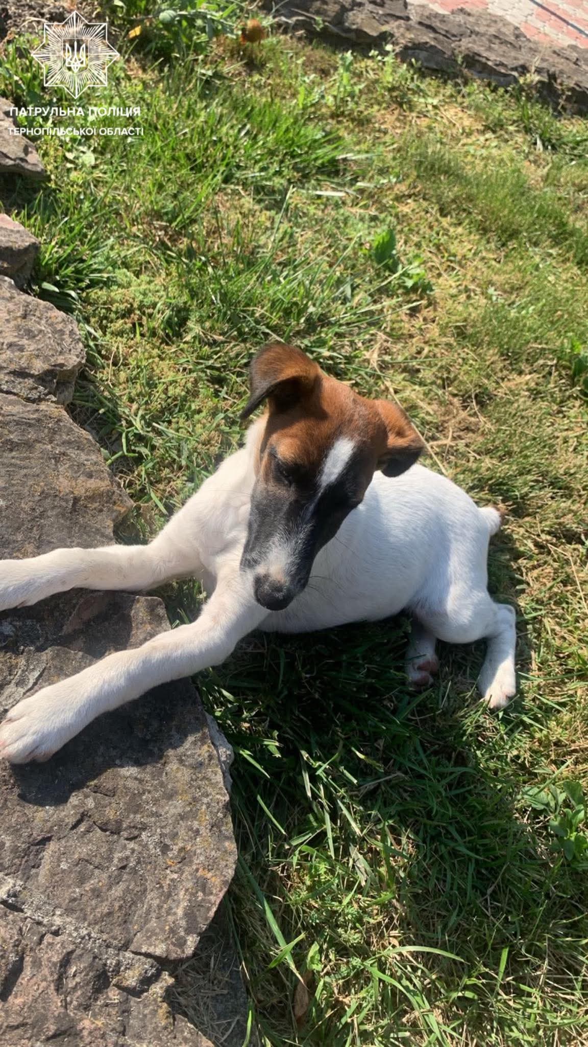 FB IMG 1756800092832