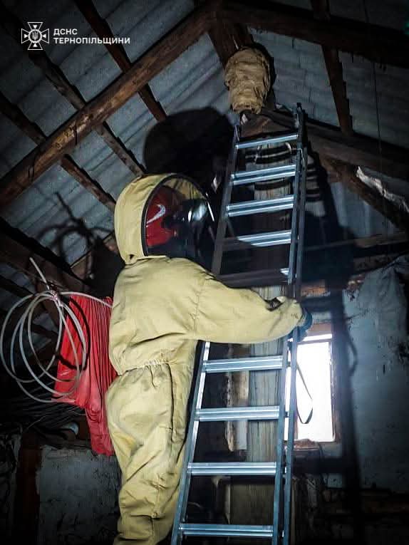 FB IMG 1756809341037