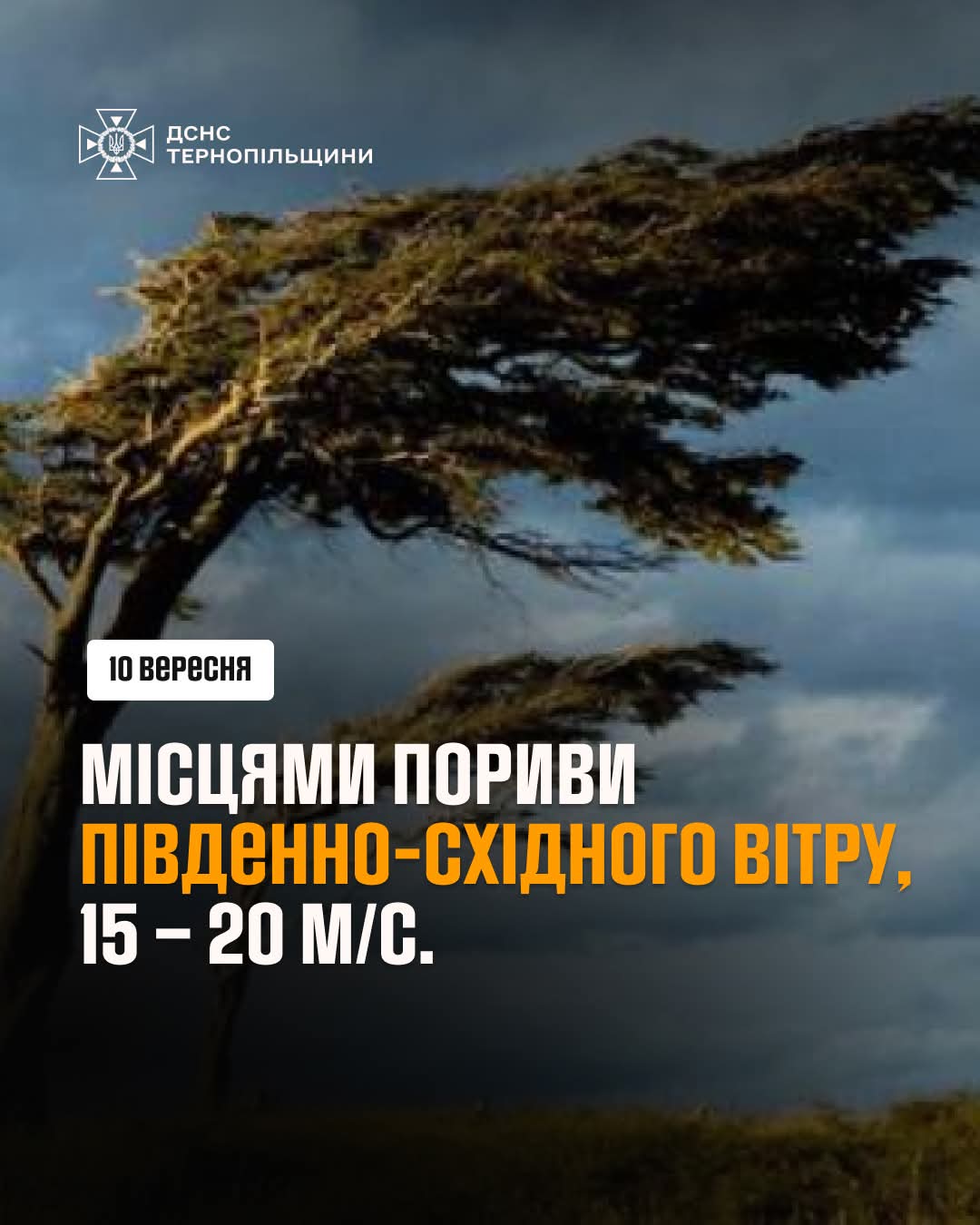 FB IMG 1757405485772