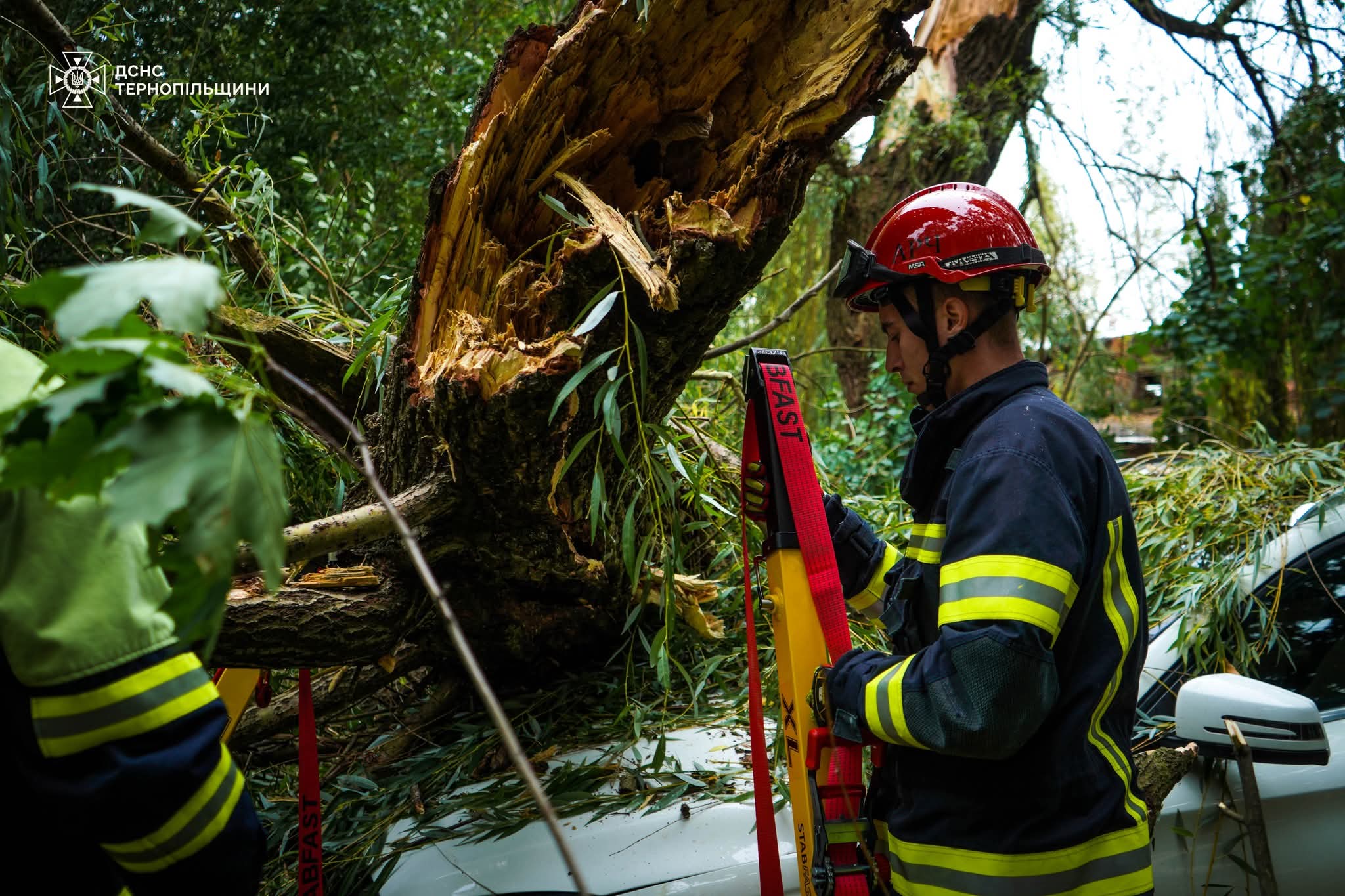 FB IMG 1757658666416