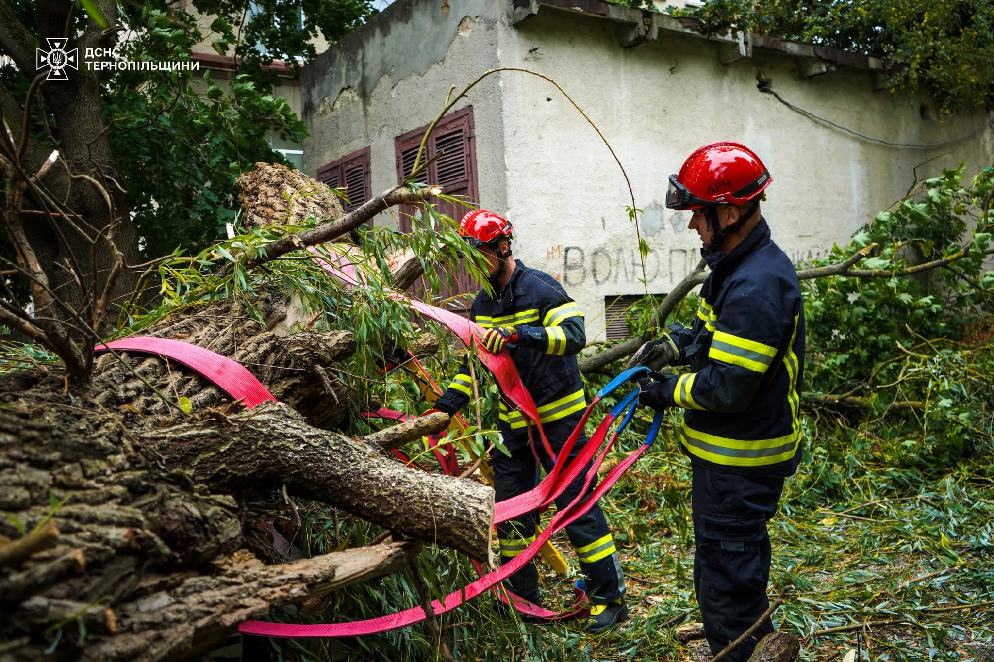 FB IMG 1757658670779