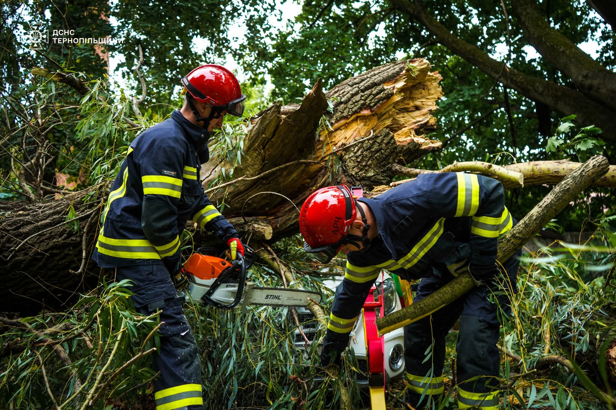 FB IMG 1757671041074