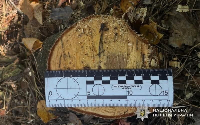 FB IMG 1758888601793