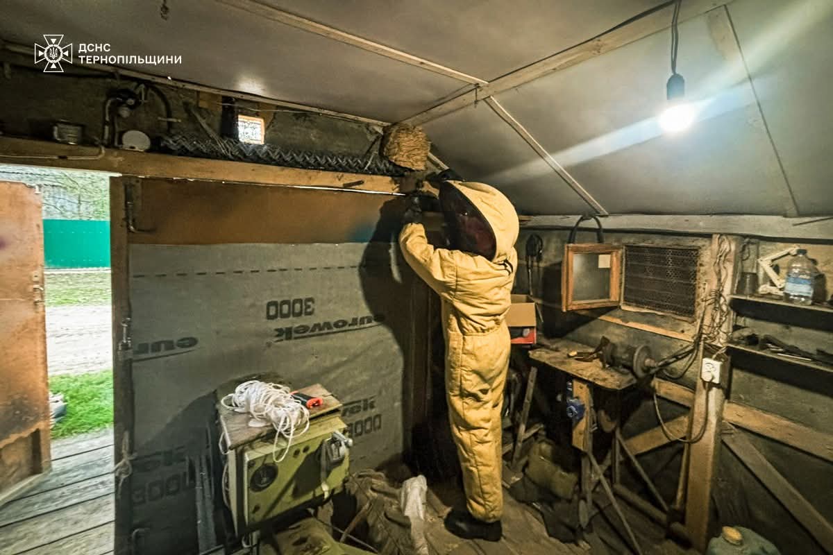 FB IMG 1759736289975