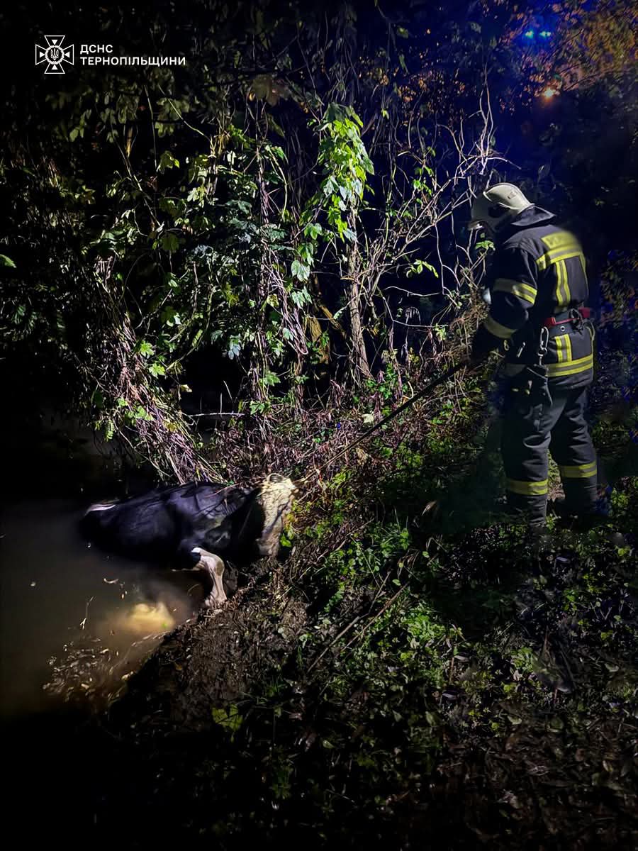 FB IMG 1759825517854