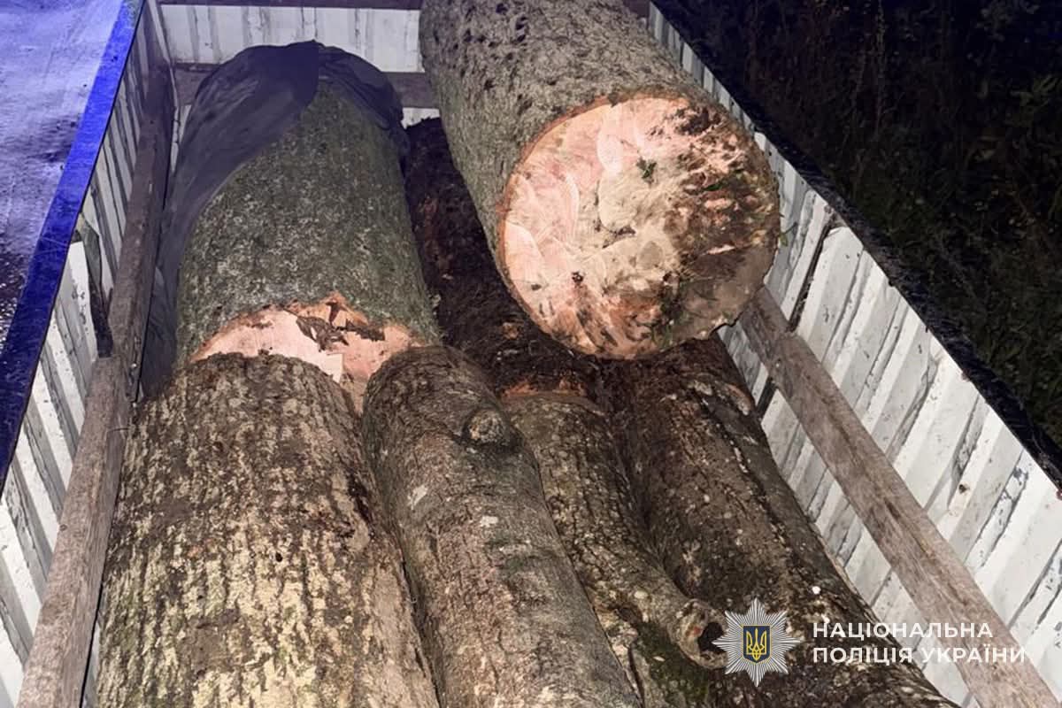 FB IMG 1760084404274