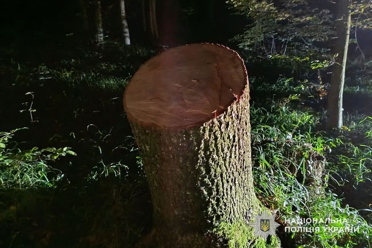 FB IMG 1760084407086