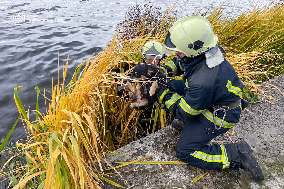 FB IMG 1760344247339