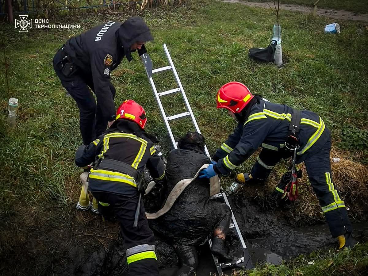 FB IMG 1763120740463