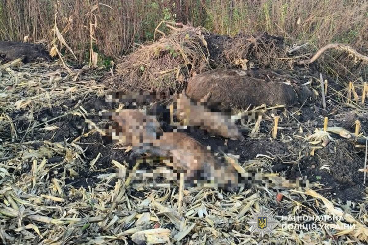 FB IMG 1763370107132