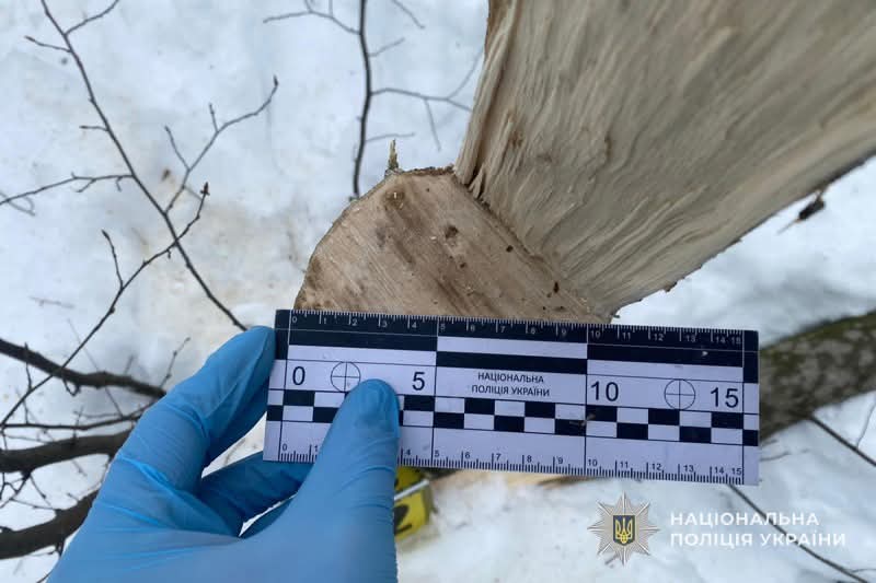 FB IMG 1768477108468